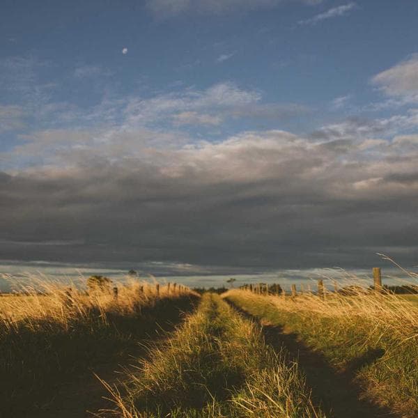 Oto Parfümü Difüzörü - 1