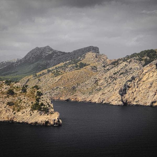 Bahçe Makası Uzun Sapı - 3