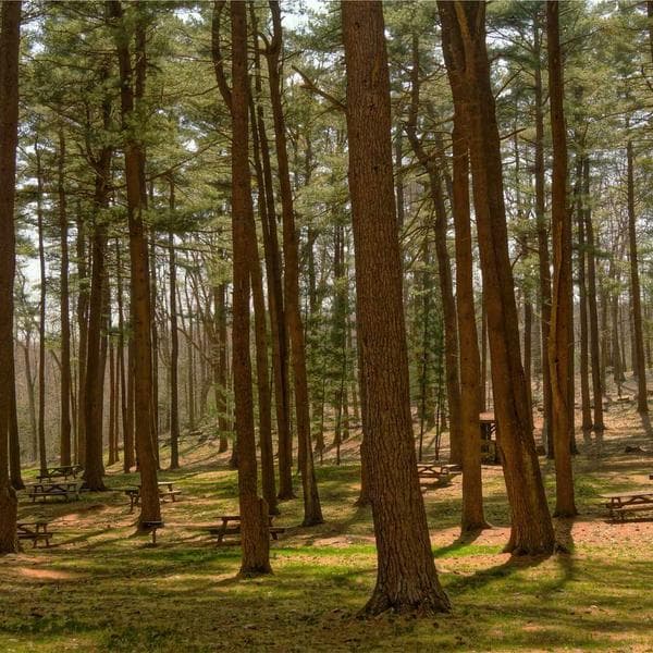 Otomatik Damla Sulama Seti - 3