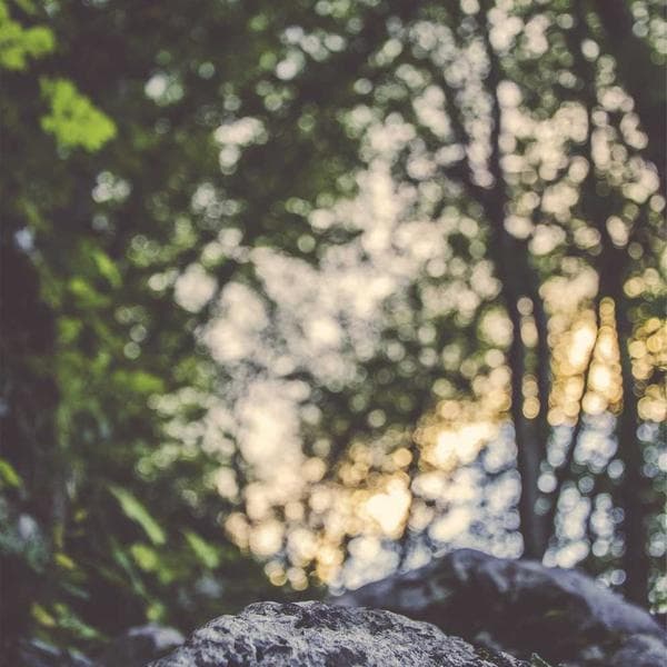 Antrenman Sweatshirt - 2