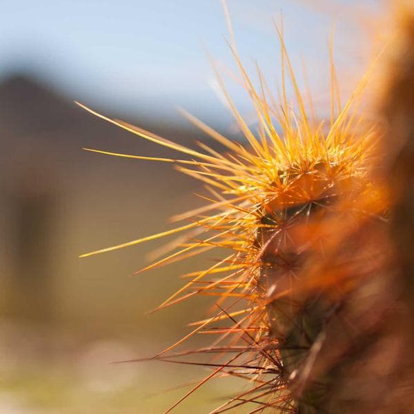 Yapışkan Duvar Boyası 10L - 3