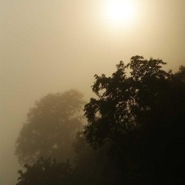 Hamster Kafesi Plastik - 2