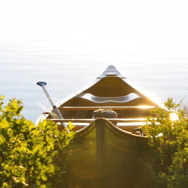 Jean Lee Cooper Gri Açık