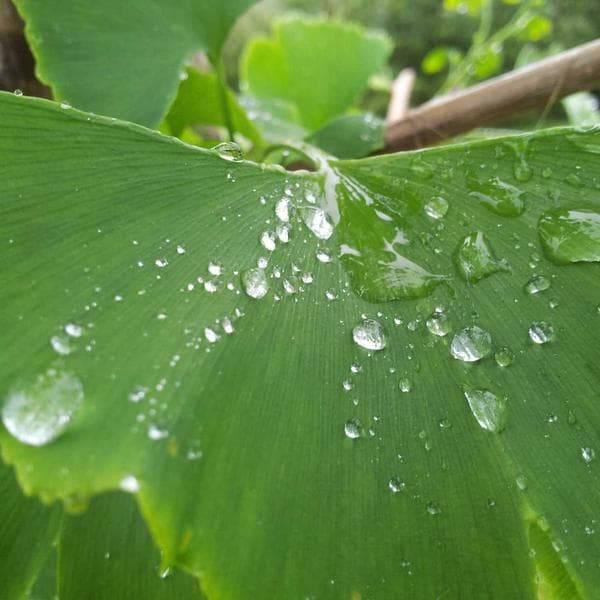 Araç Alarmı Çalıntı Koruması - 2