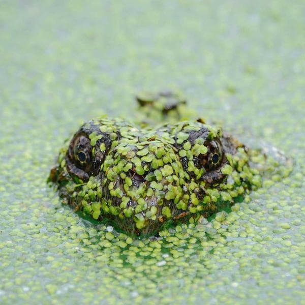 Xiaomi Redmi Note 13 - 2